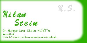 milan stein business card